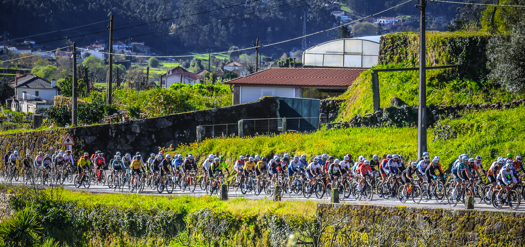 VIANA Granfondo by KTM 2027 image